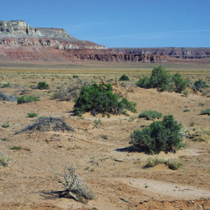 Navajo / Hopi land